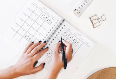 projects overview template