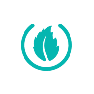 Mint Consulting Australia logo